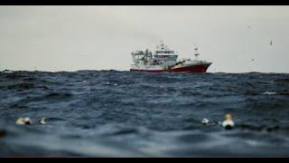 Safe Seas