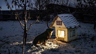 Heated booth - very simple and affordable! Do-it-yourself warm kennel for a dog