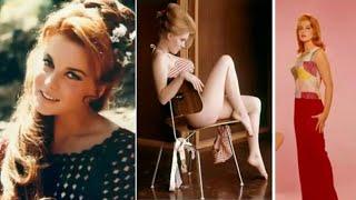 Gorgeous Beauty ANN-MARGRET Iconic Celebrity of Sixties