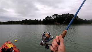 The Pete's Fishing NZ  -  My 50 year Old Rod - On Ohiwa Harbour