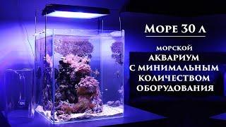 Морской аквариум с минимальным количеством оборудования