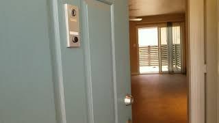 Scottsdale Gateway Paseo Large Studio Concrete Flooring