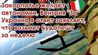 Украина и Венгрия готовы к войне за Закарпатье конфликт венгерской автономии новости видео