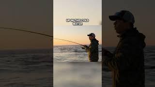 Aggressive Striped Bass Feeding on the Surface #stripedbass #anglingadventures