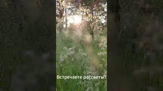Рассвет июнь #природныепейзажи #природа #родовоепоместье #рассвет