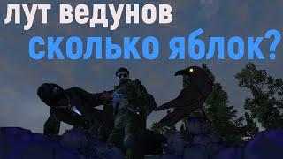 лут ведунов -яблоки- сталкер онлайн \Stay Out\