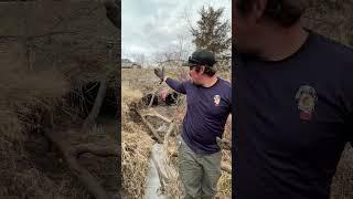 Trapping Nest Predators! Perry's Racoon Trapping Tips!! #druryoutdoors
