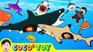 60minㅣCoCosToy's  well-made stories best collection 2ㅣwhales & sharks for kidsㅣCoCosToy