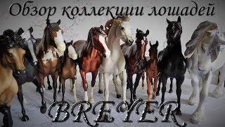 Breyer Collection Tour 2018 | Обзор моей коллекции лошадей BREYER | июль 2018