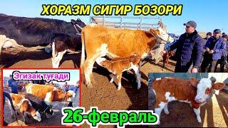 ХОРАЗМ УРГАНЧ СИГИР ВА ҒУНАЖИНЛАР БОЗОРИ 26-февраль 2023 г.