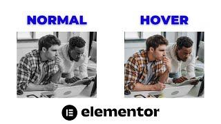 Change Black and White Image to Colorful on Hover in Elementor 2022 | WordPress Tutorial 2022