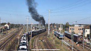 BR52 8154 Kämpf mit Autozug der BLG in Falkenberg/Elster - Dampfloksound vom feinsten - genießen !!