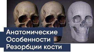 Анатомические особенности резорбции кости. Методы коррекции филлерами.