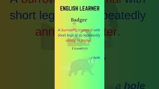 English Word - Badger - Meaning With An Example  #englishwords #english #badger