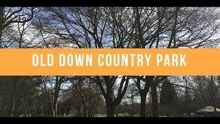 Old down country park - JESSICA MERRIMAN