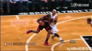 Terrible Flagrant/Hard Fouls on Lebron James（some even not to call）