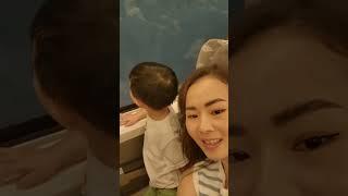 NIKMATI PERJALANAN#whoosh#fypyoutube #kaiwhoosh