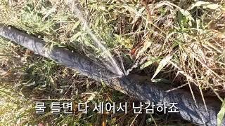 스프링 쿨러 연결호스 상처 간단 해결 방법