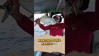 Review Mancing Ikan Ini, Mantap Betul Tarikan nya. #shorts #hobimancing #mancing