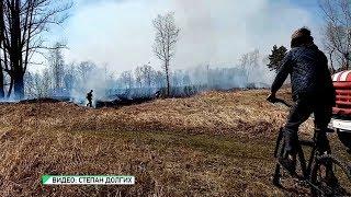 "Будни" (новости, 21.04.20г., Бийское телевидение)