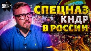 Чмобики КНДР в России. Арест Путина: Москва поджала хвост. ВСУ шарахнули по Питеру. Тизенгаузен