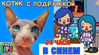 24 ЧАСА В СИНЕМ ЦВЕТЕ БОГАТЫЙ КОТ МИЛЛИОН ЖИВЁТ ВМЕСТЕ с ПОДРУЖКОЙ в ТОКА БОКА  Toca Life World