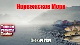 ОТДЫХАЕМ на НОРВЕЖСКОМ МОРЕ ПЕРЕД БОЛЬШИМ МАРАФОНОМ | РУССКАЯ РЫБАЛКА 4 | СТРИМ