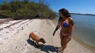 BABE catches Dinner *** Slow trolling LIVE Baits 7 miles in the Ocean