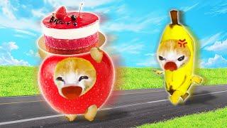 Cake Chase: Banana Cat vs. Apple Cat!  Baby Banana Cat Compilation | Happy Cat Crying MEME 