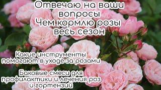 Чем кормлю розы весь сезон/Выращиваю сильные розы от посадки до цветения/Препараты для профилактики