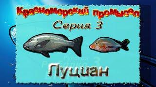 Русская Рыбалка 3.99 (Russian Fishing) Красноморский промысел 3 - Луциан