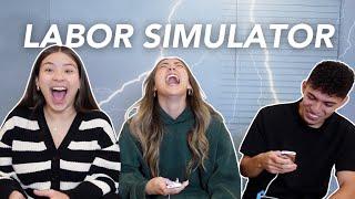 LABOR SIMULATION CHALLENGE