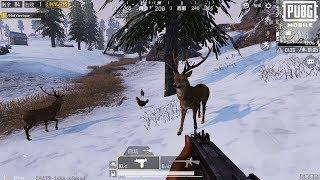 Animals In PUBG Mobile?