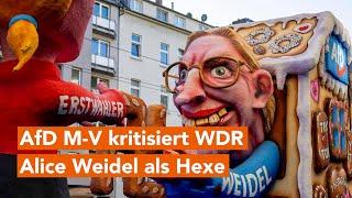 Alice Weidel als Hexe: AfD M-V greift WDR wegen Karnevals-Berichterstattung an