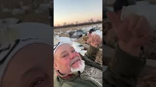 2 geese 1 shot! Goose hunt In Arkansas #huntwise #hunting #outdoors #goosehunting #greatoutdoors