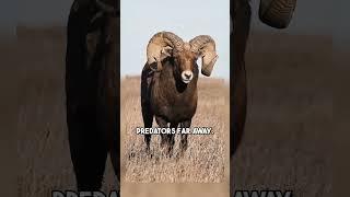 fascinating animal facts that were kept a secret!