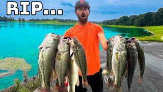 They Told Us To Kill 1,500 Bass....