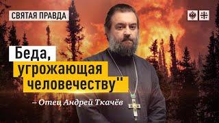 «Даруй дождь земле жаждущей, Спасе». Протоиерей  Андрей Ткачёв.