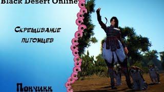 Black Desert Online.Скрещивание питомцев.