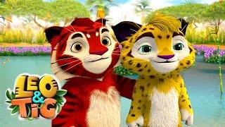 Leo and Tig  The Fastest Runner - Episode 39  Funny Family Animated Cartoon for Kids