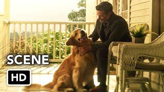 Superman & Lois 4x10 Epilogue "Krypto" Scene (HD) Series Finale