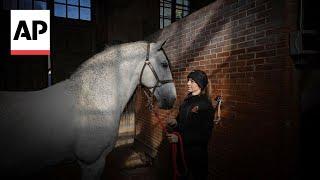 Paris Olympics: Horses show off in Versailles, keeping alive royal tradition