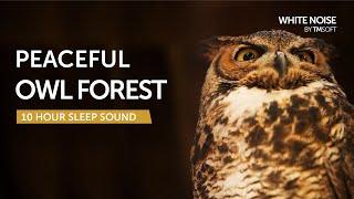 Peaceful Owl Forest Sleep Sound - 10 Hours - Black Screen