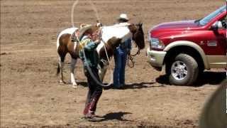 Dan Mink, The Rhinestone Roper and Lucky Joe at the 2012 Williams Rodeo