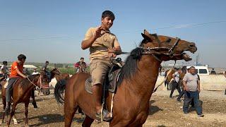 Shahidon ot bozori bugungi narhlar bilan tanishing 27.08.2024yil