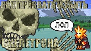 [Terraria Гайд] КАК ПРИЗВАТЬ И УБИТЬ СКЕЛЕТРОНА (Skeletron)