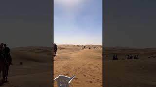 A day in desert / Dubai Desert Safari #shorts #travel #dubai #explore #explorepage