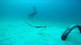 Rocna Anchor testing and setting underwater