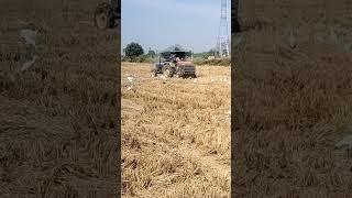 Tractor lover's # Farmer # always devgan shorts