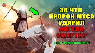 ПОЧЕМУ ПРОРОК МУСА ОТКАЗАЛСЯ УМИРАТЬ И УДАРИЛ АНГЕЛА СМЕРТИ В ГЛАЗ? ангел смерти пророк Моисей